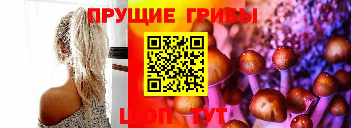 Усинск  Галлюциногенные грибы MAGIC MUSHROOMS  Вход с VPN 